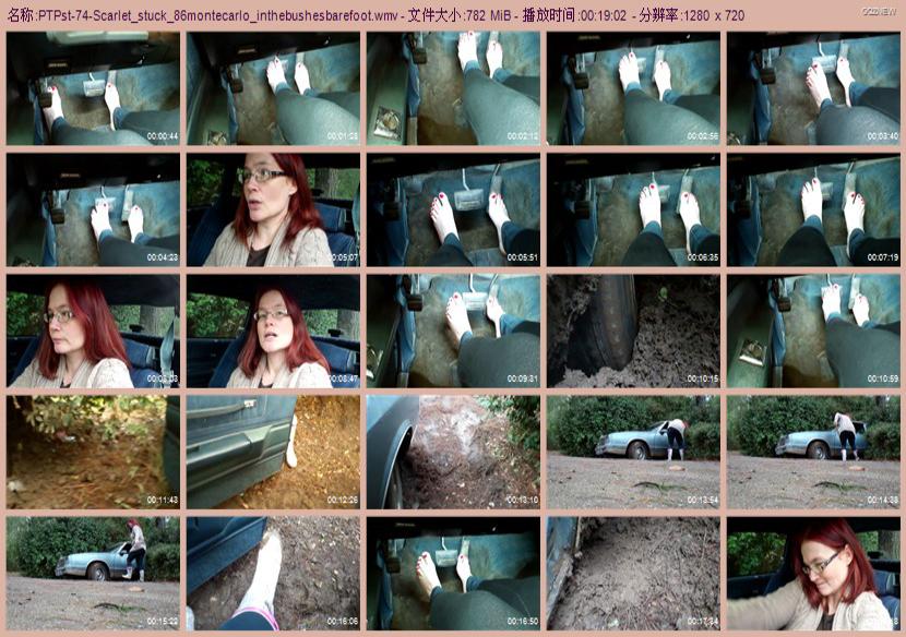 ptpst-74